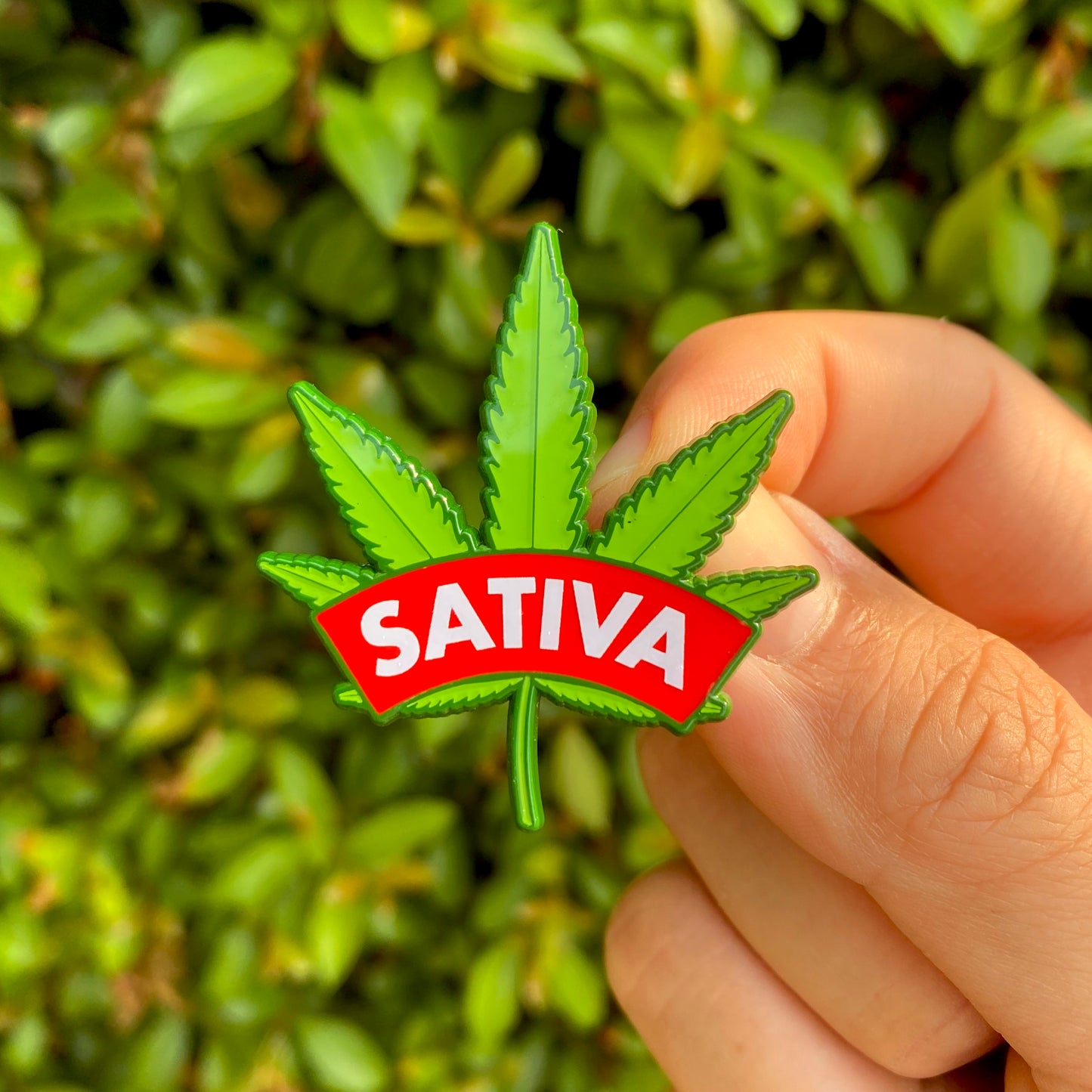 Tree Leaves