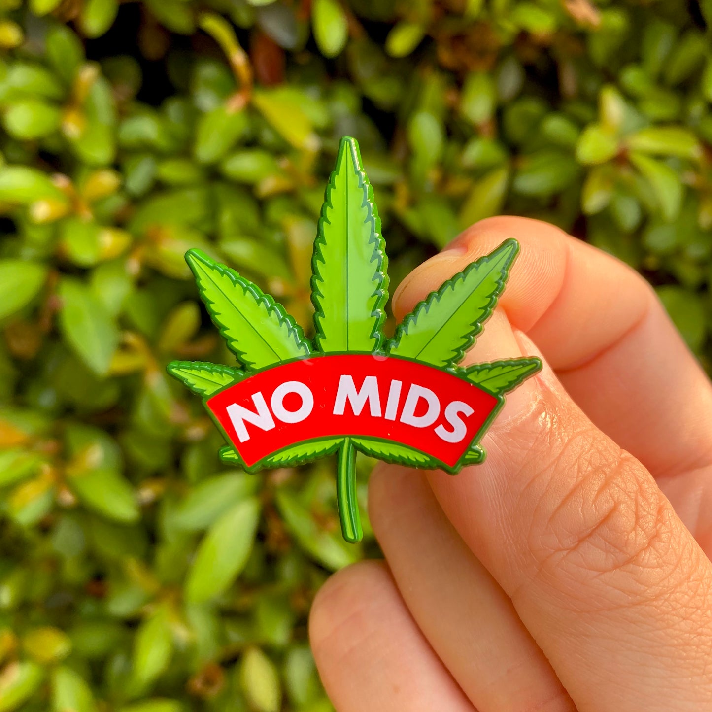Tree Leaves
