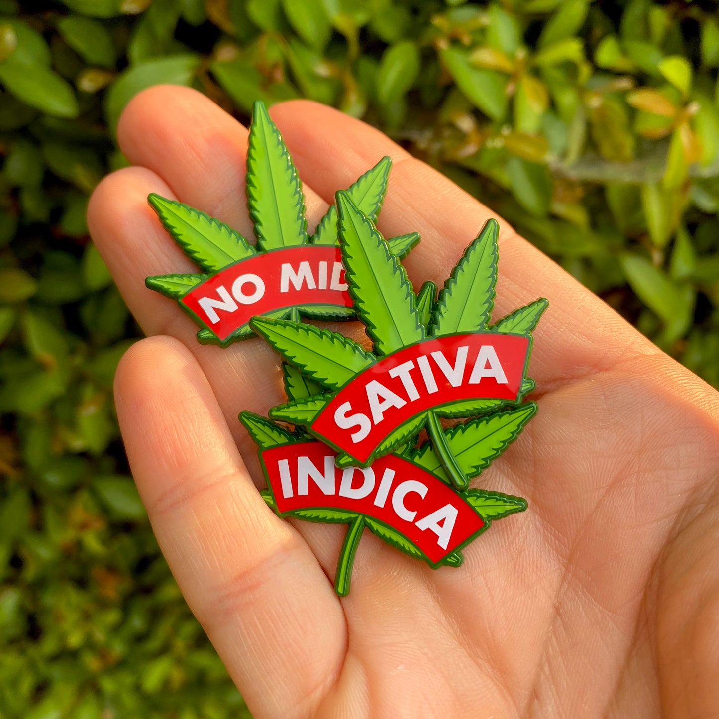 Tree Leaves